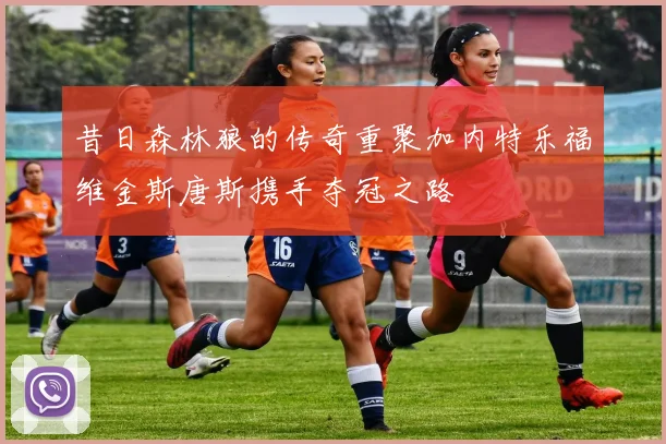 昔日森林狼的传奇重聚加内特乐福维金斯唐斯携手夺冠之路